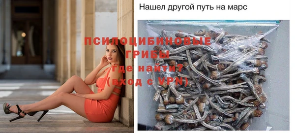 PSILOCYBIN Нефтегорск